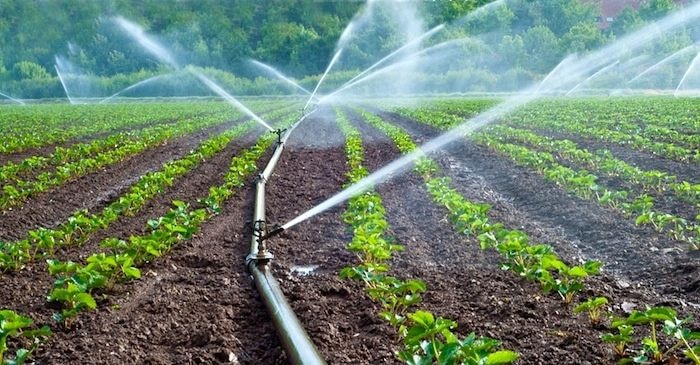 IWMI urges farmers to adopt technology-driven irrigation