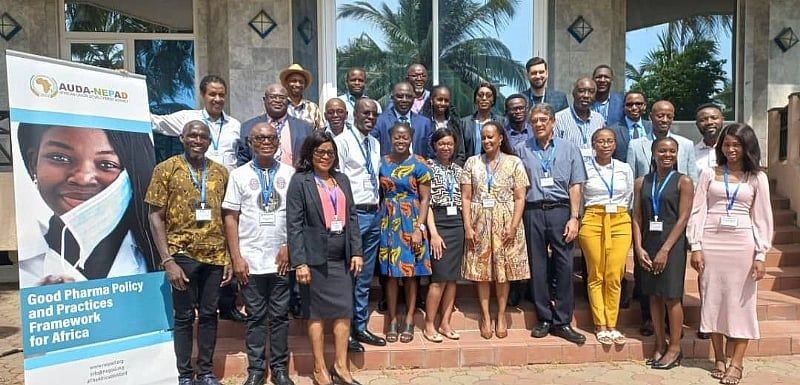 AUDA-NEPAD holds workshop on Pharmaceutical Manufacturing Plan for Africa