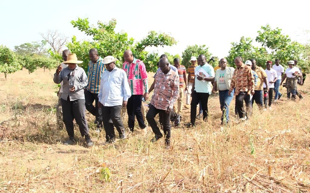 Agric Minister begins tour of Northern Ghana