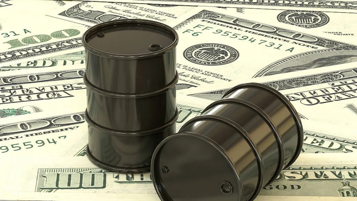 Dollarisation escalating energy sector woes
