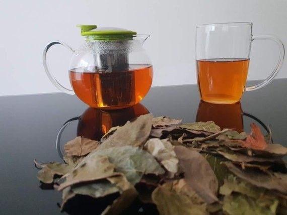 Kinkeliba tea supports blood pressure