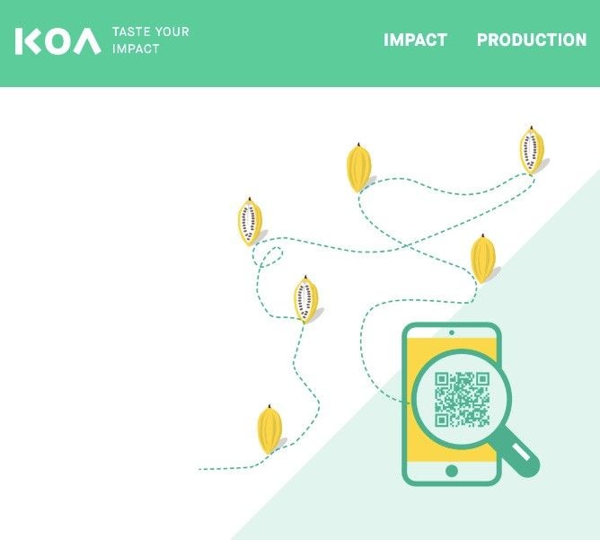 What cost are cocoa farmers enduring for KOA'S transparency system to function?
