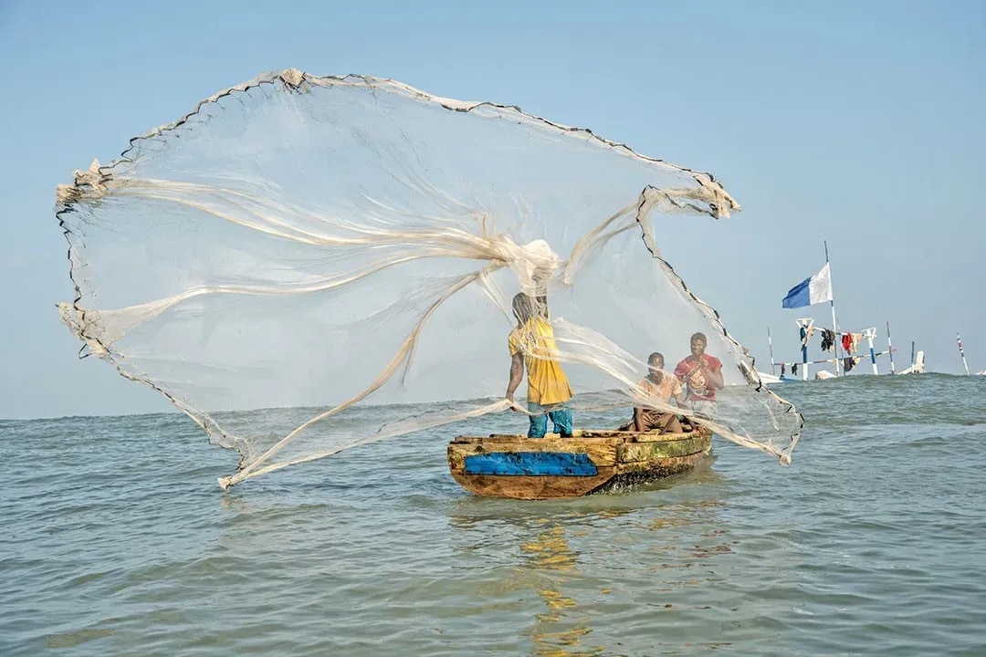 New fisheries law de-risks potential EU ban