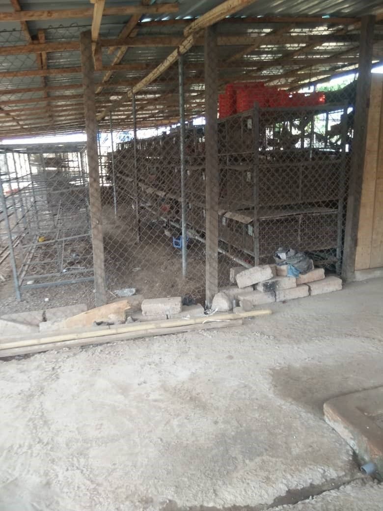 Rabbit industry faces imminent collapse