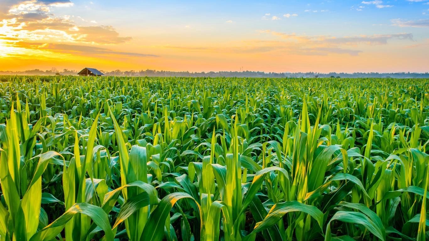 Editorial: Taking advantage of Indian bi-lateral relations to boost agricultural productivity