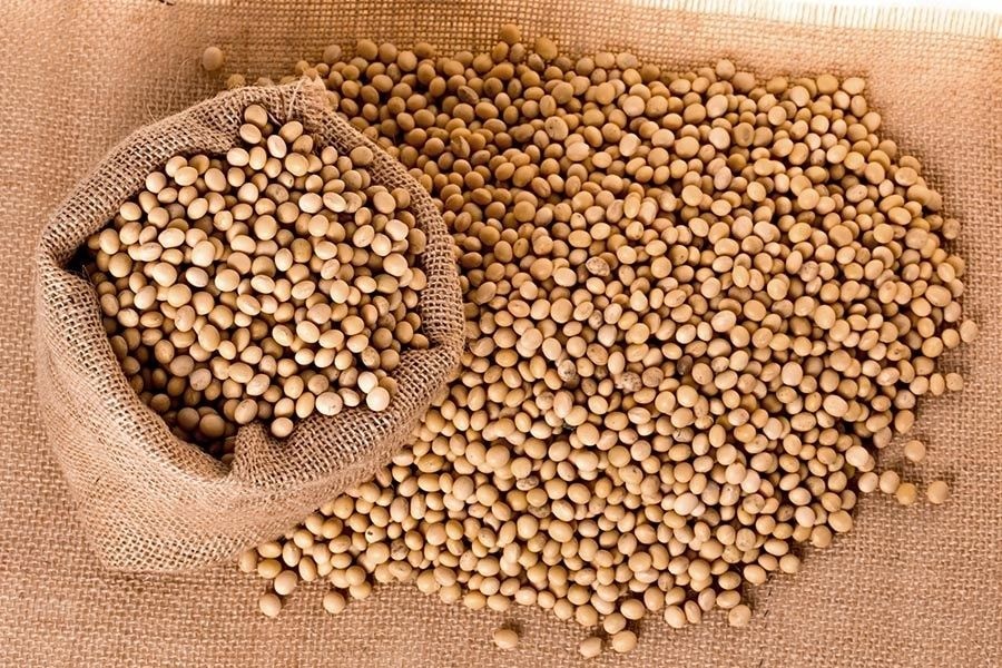 Soybean production gets boost with US$108m funding