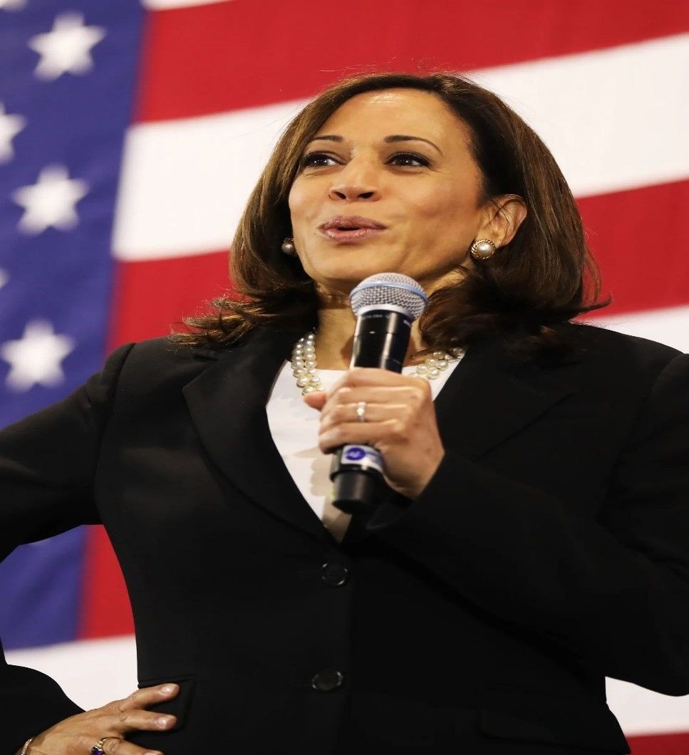 US$1bn allocated to establish women in digital economy fund – USA Vice President