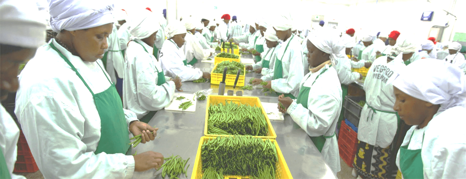 Learning from Kenya's VegPro Group