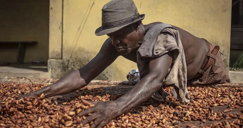 Chocolate makers make more money while cocoa farmers barely earn a living
