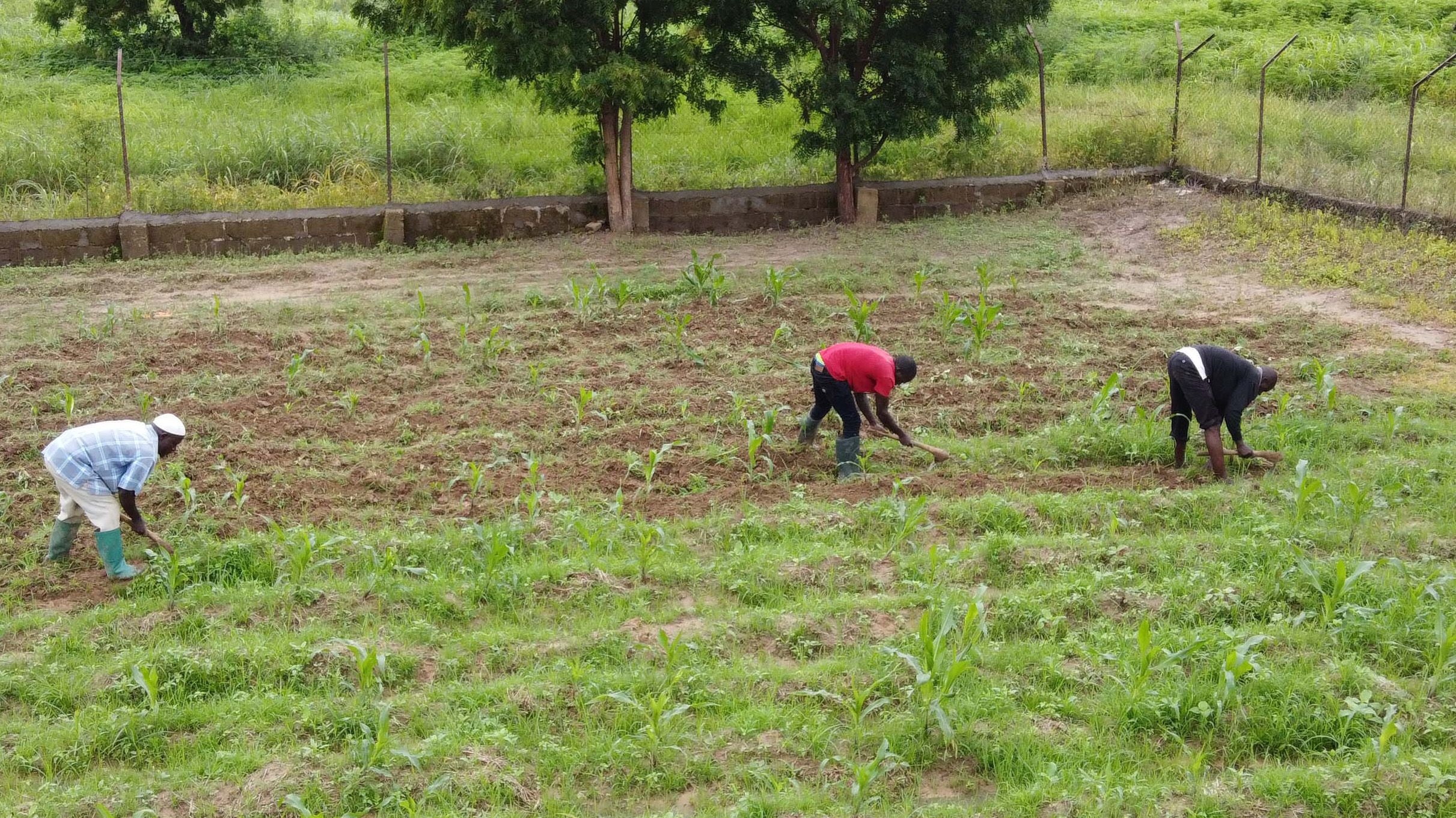 Letshego partners GCX to provide funding for farmers
