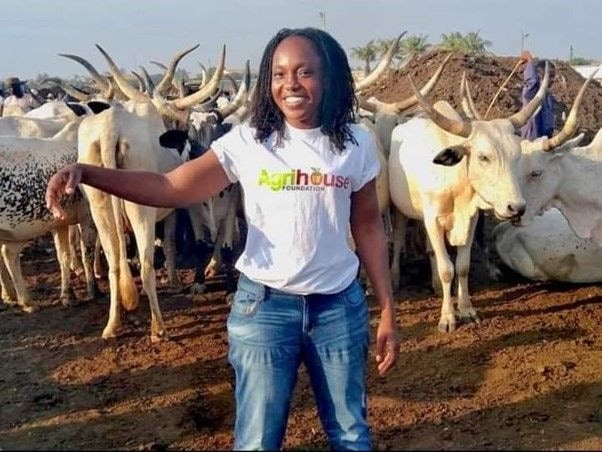 Is the livestock sector receiving equal attention to the crops sector?