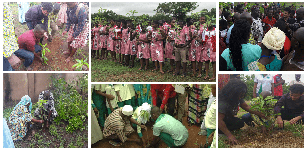 Olam Agri tree-planting initiative reaches 100,000 trees