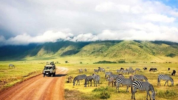 Chris Koney’s Column: Why you must travel
