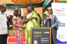Women Icons: GEPA honours Theresa Poku of OHU Farms