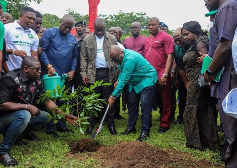 Tree-planting – a solution to environmental problem?