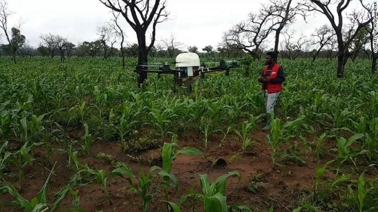Digital technologies and how they improve sustainable performance among smallholder farmers