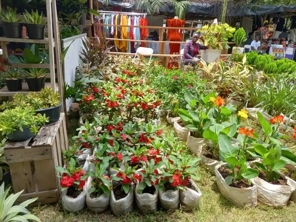 11th Ghana Garden and Flower Show opens tommorow
