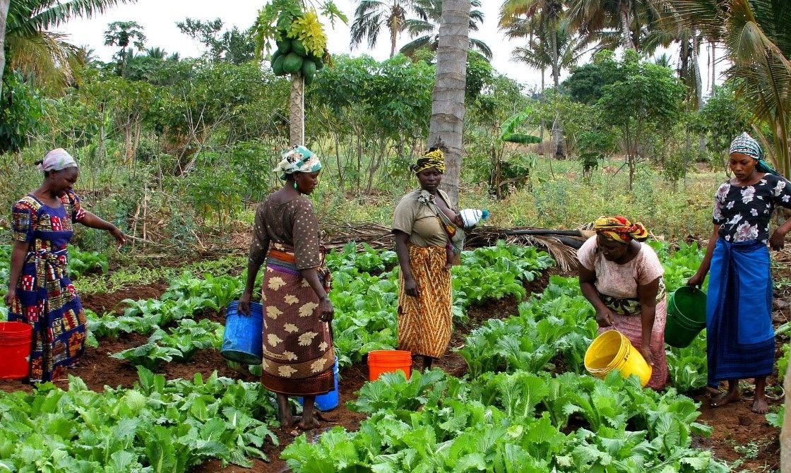 The private sector is seriously working in tandem with the government to make food sufficient