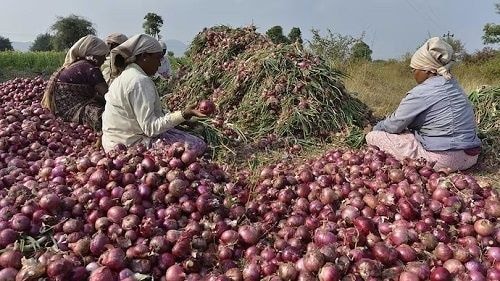 Over US$2m weekly onion imports worrying - PFAG