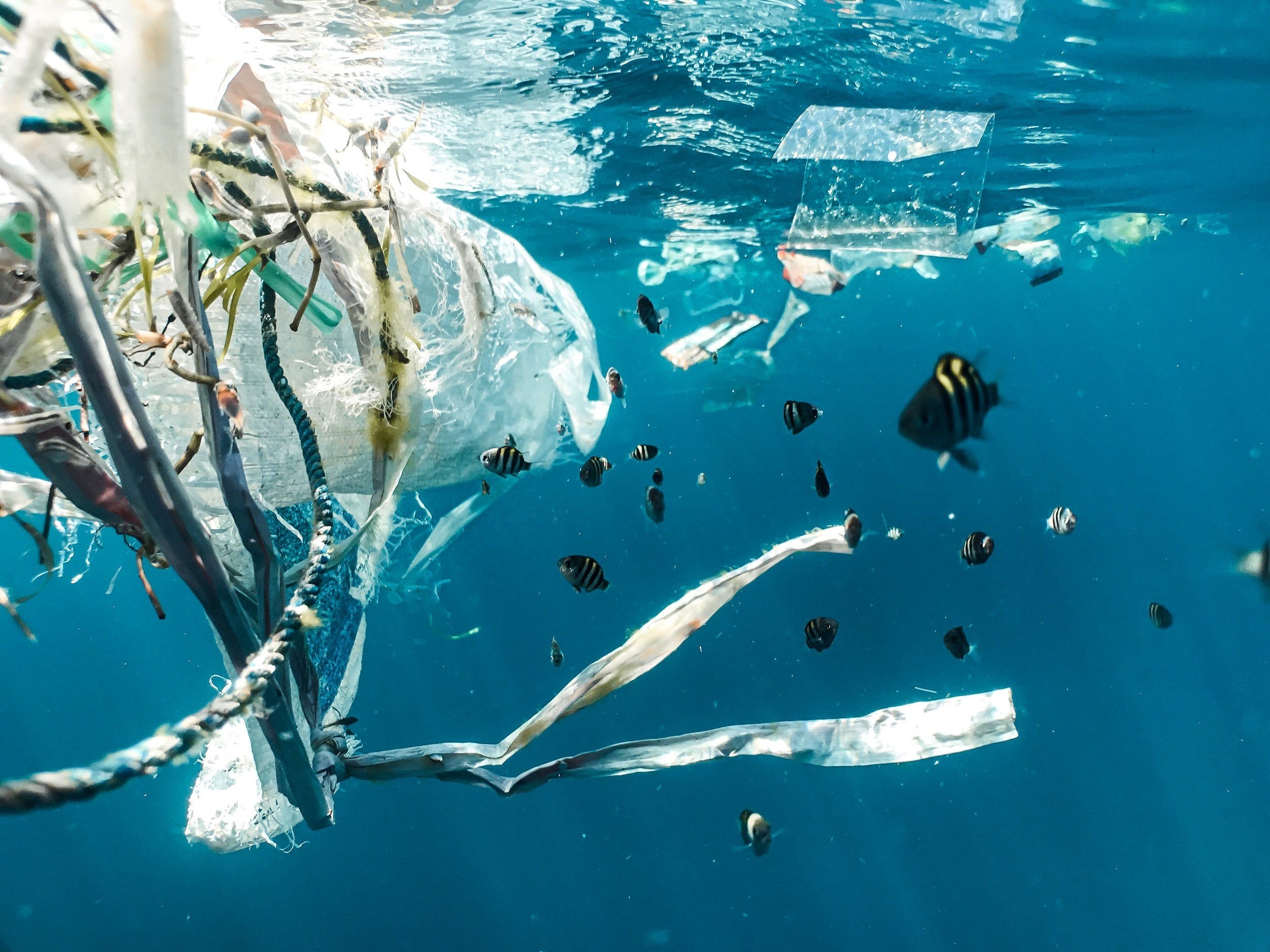Workshop on Sustainable Ocean Project held in T’di