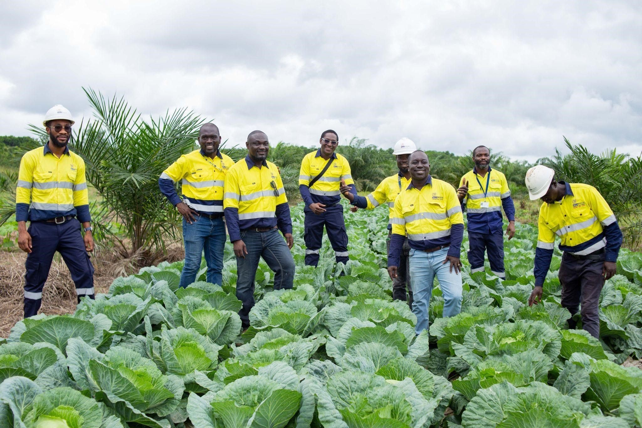 Mining, agriculture complementary – Gold Fields