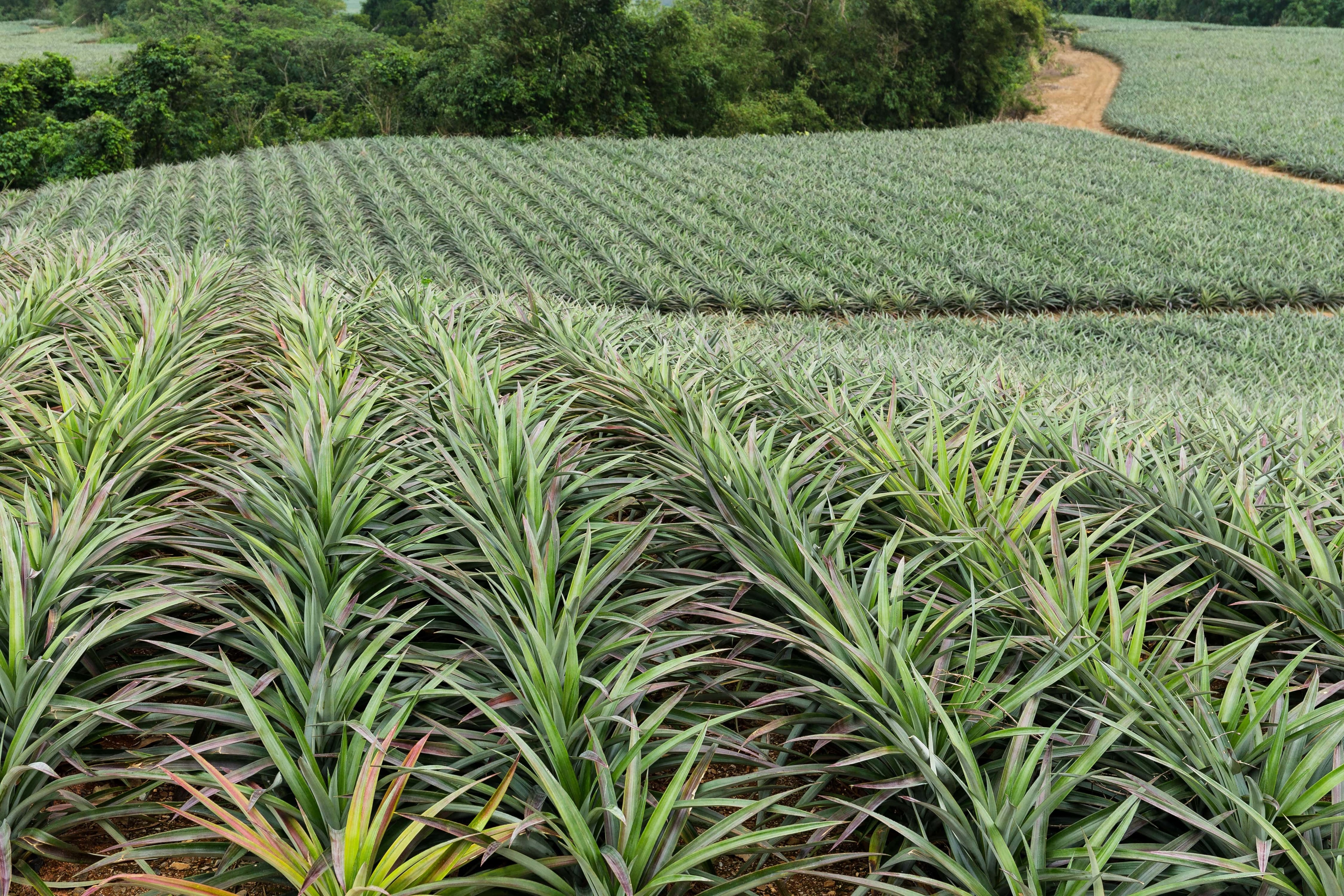 Southern Ridge Farms holds end of year strategic planning session