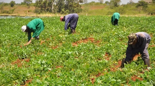 Agric sector attracts key funding target