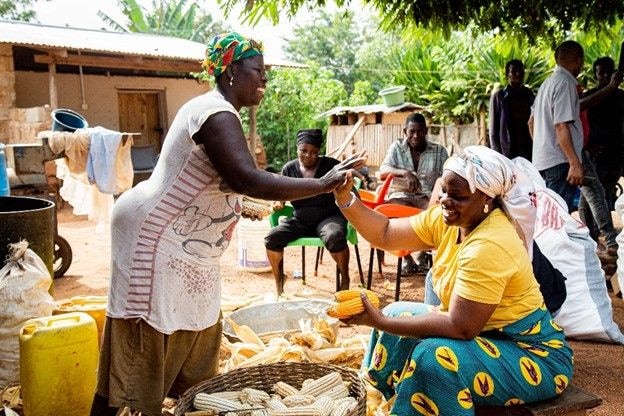Ignitia's SMS weather forecast boosts farmers' yields