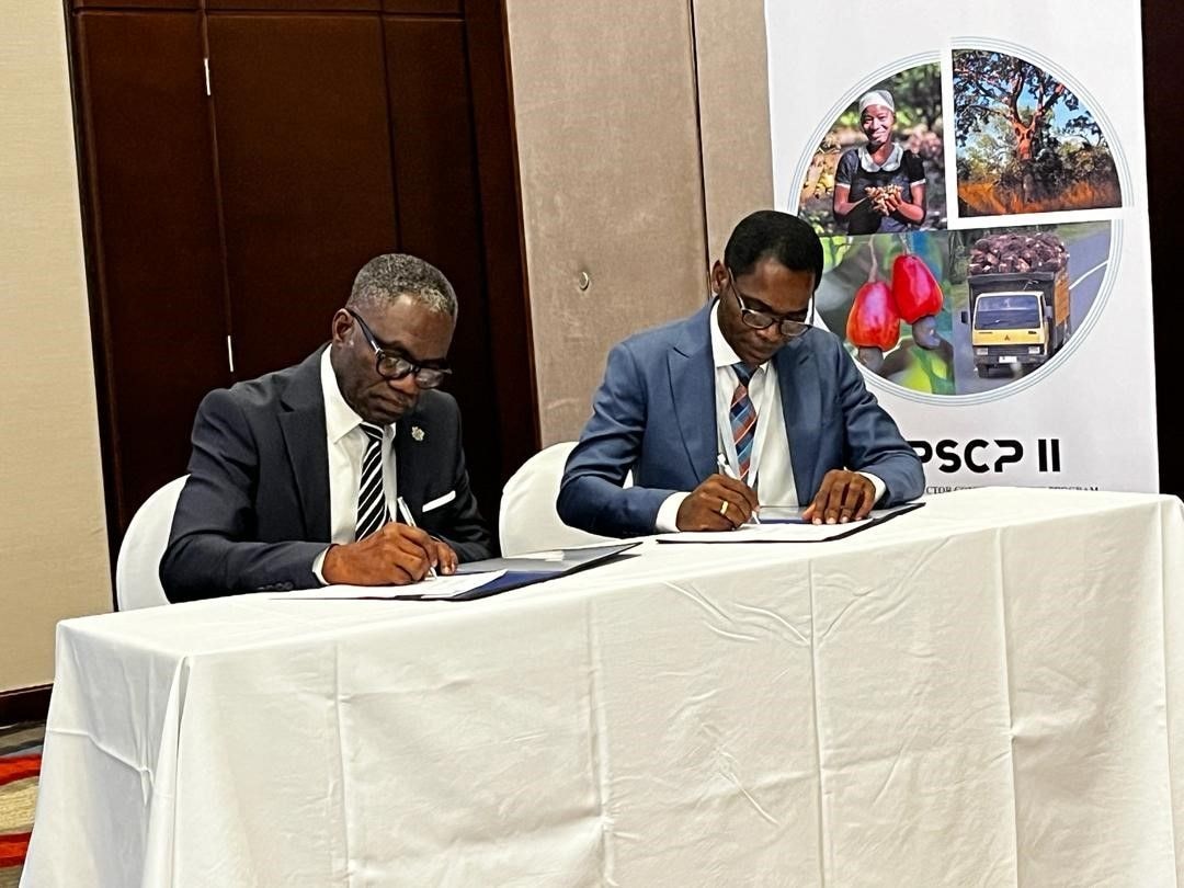 Boost for cashew, oil palm processing as SECO commits US$10.5m towards 20% value addition
