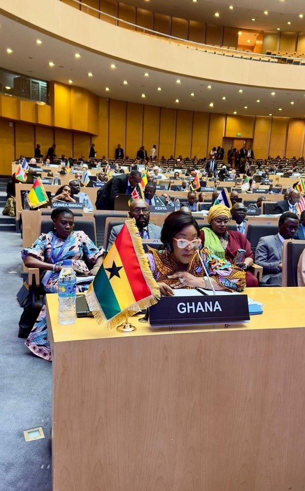 Foreign Minister participates in 44th Ordinary Session of AU Executive Council