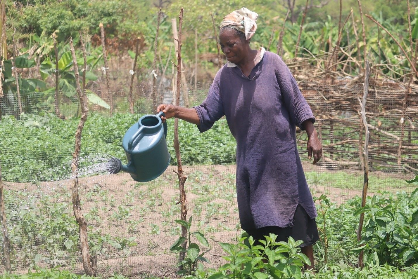 Economy faces US$14.25bn annual climate finance deficit