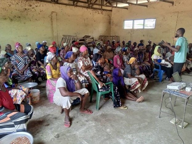 Chamber of shea empowers women with innovative shea butter project