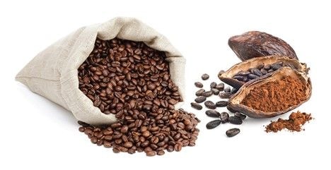 Intra Africa Coffee and Cocoa Trade Week kicks off in September