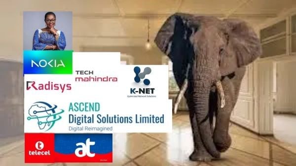 FEATURE: Elephant in the room – the shared 4G/5G infrastructure