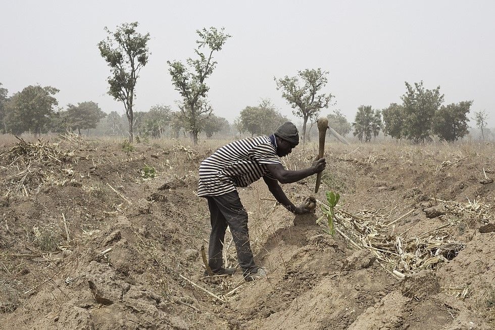 FEATURE: Agriculture and trade related climate measures