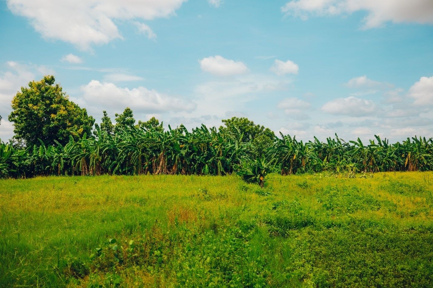 KIC start-ups are championing eco-friendly innovations towards a sustainable future