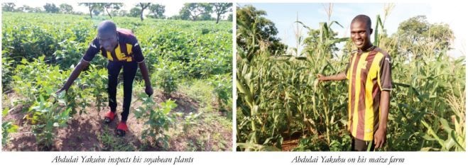 Strategic financing spurs young smallholder farmers to expand