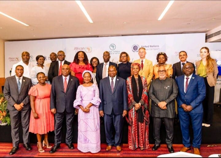 Strategic actions needed to leverage private sector for Agenda 2063, SDGs - AU Observer