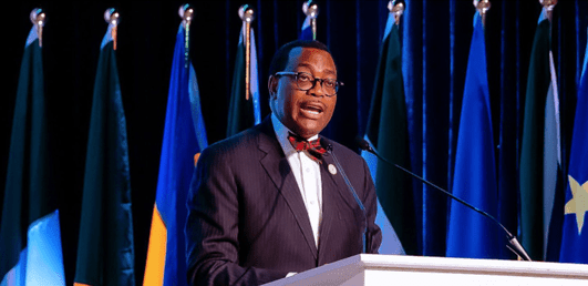 AfDB’s US$650m rice development program to enhance food security in West Africa