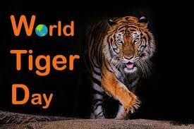 Special Piece in Celebrating World Tiger Day
