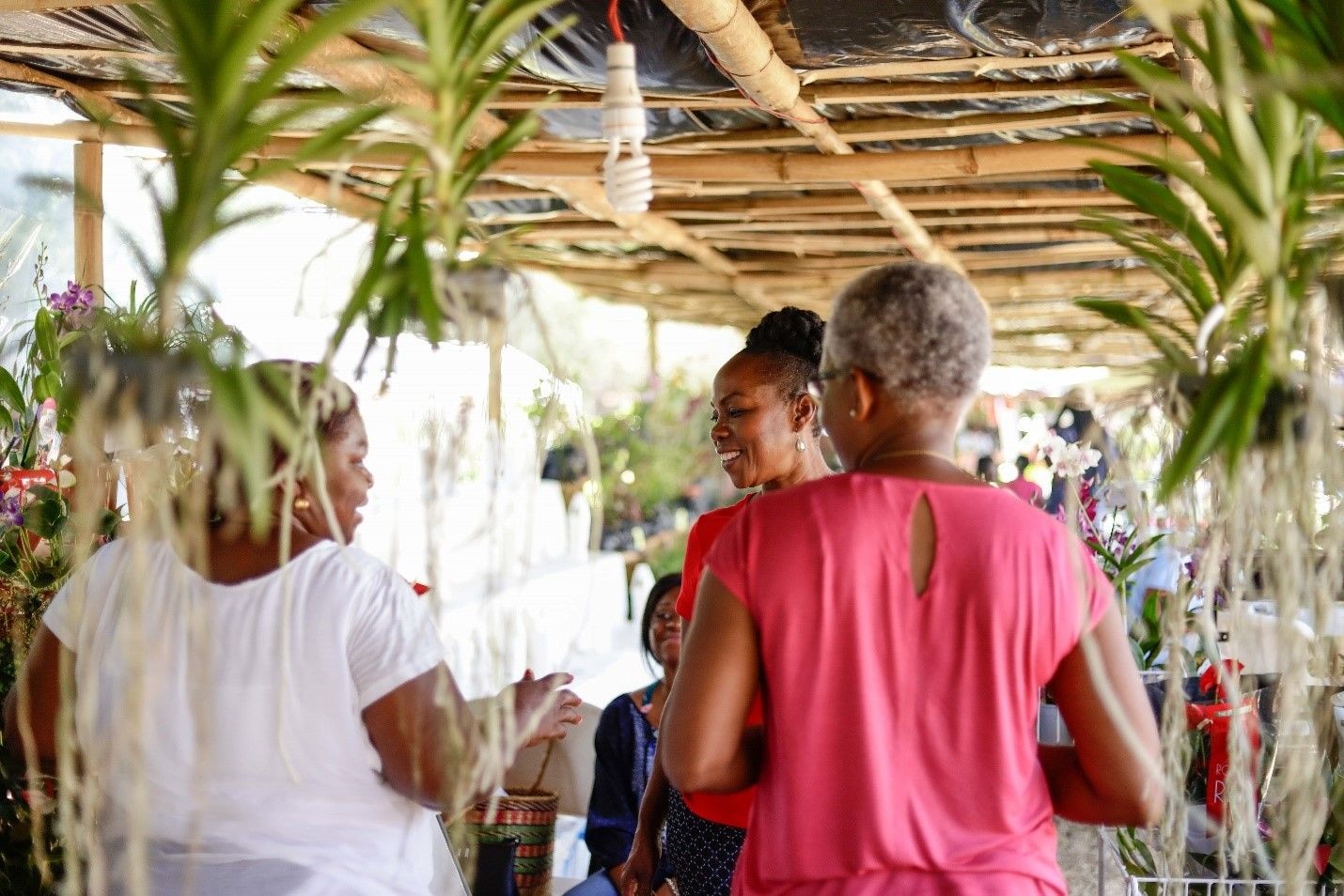 GREENOVATION: Green the Nation, Feed the Nation, Grow the Nation - Ghana Garden and Flower Show 2024 is launched.