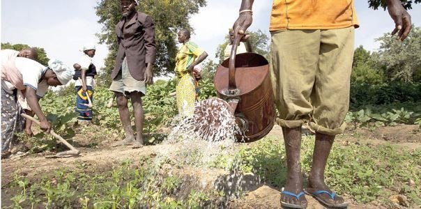 Reversing the country’s food colonisation
