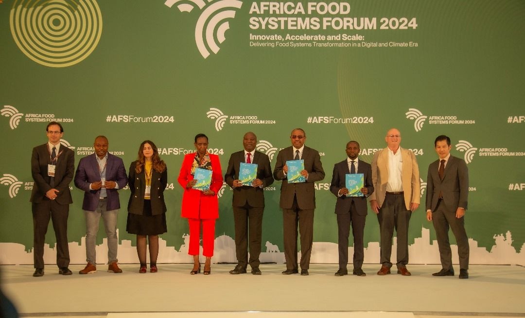 Collaborate to achieve greater sustainability and resilience - Africa urged