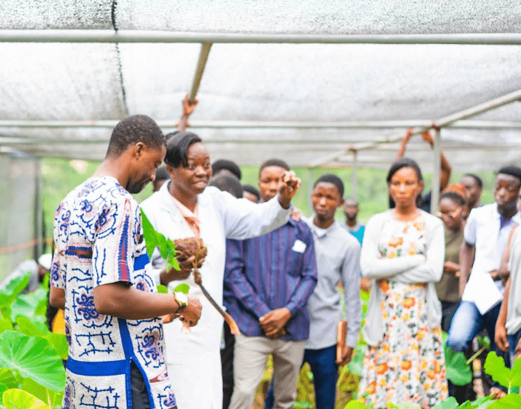 KIC and Mastercard Foundation promote agripreneurship with market research tours
