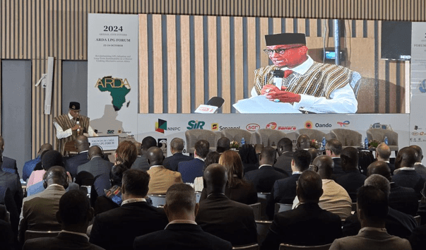NPA boss leads charge for clean cooking revolution in Africa