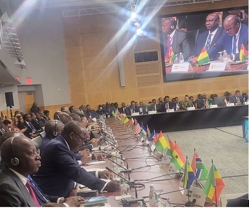 BoG Governor pushes for private sector support in G20’s debt relief efforts