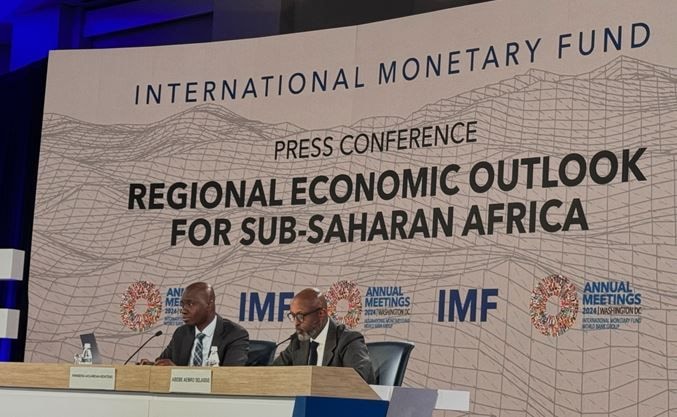 IMF projects economy to grow 4%