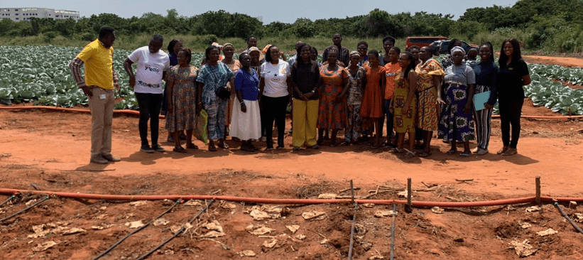 MTN marks International Day of Rural Women with farmers