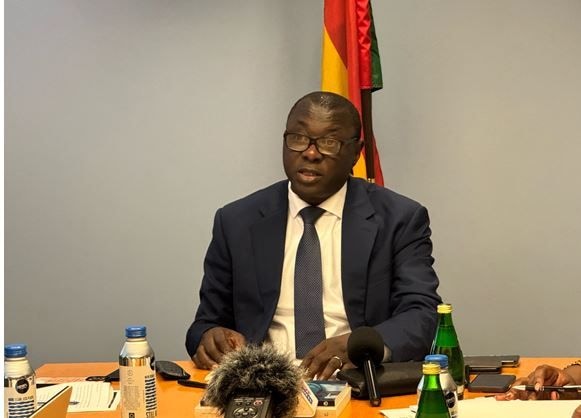 Gov’t insists on private participation in ECG