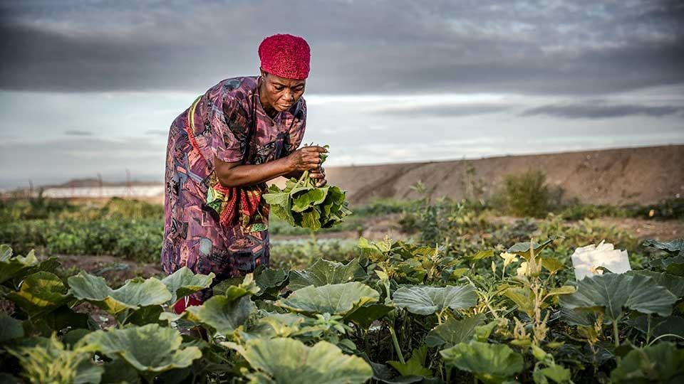 Resilient agriculture for sustainable food systems